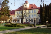 v21