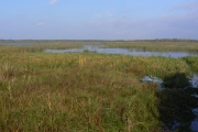 19. Wschodnia część Zalewu Siemianówka
