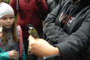 28. Bogatka