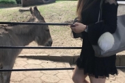 z2