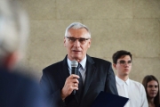d33