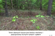 0021_Easy-Resize.com_