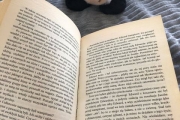 Przerwa na czytanie