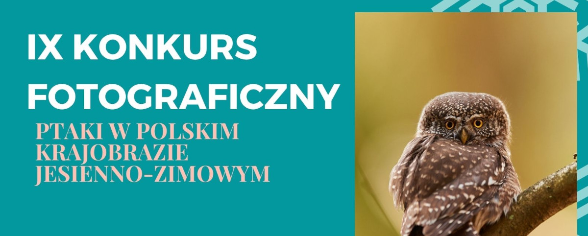 Konkurs fotograficzny Ptaki